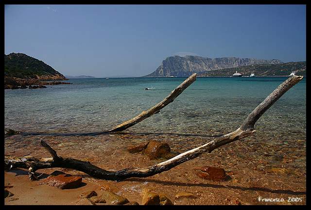 Paradise_by_frtosi-1.jpg