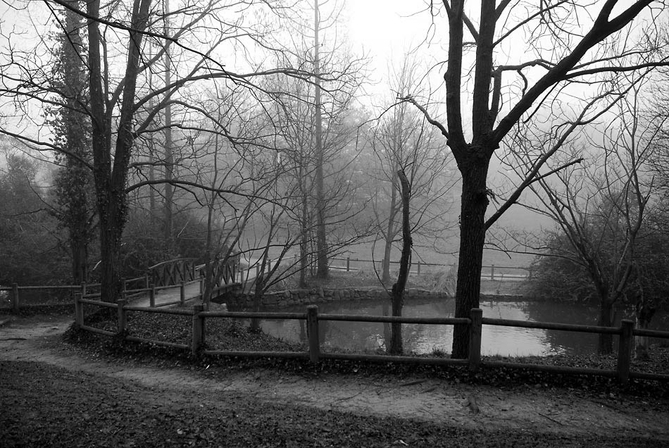parco-Bucci_7B&W.jpg