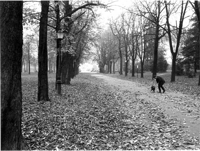 Parco2.jpg