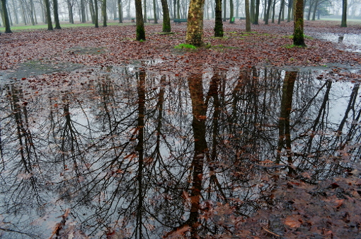 Parco_02_rr_1.JPG