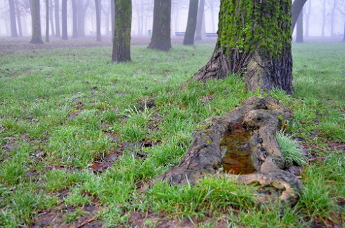 Parco_03_rr_1.JPG
