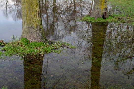 Parco_04_rr.JPG