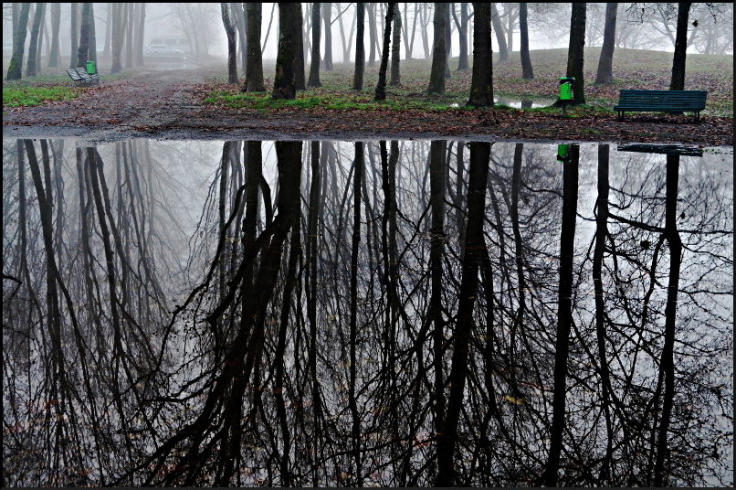 Parco_05_p4u_dritta_r.JPG
