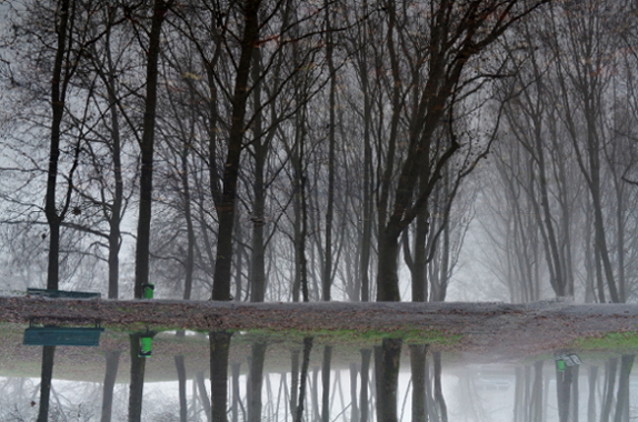 Parco_05_rr.JPG