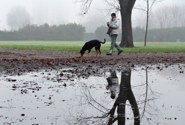 Parco_06_rr.JPG