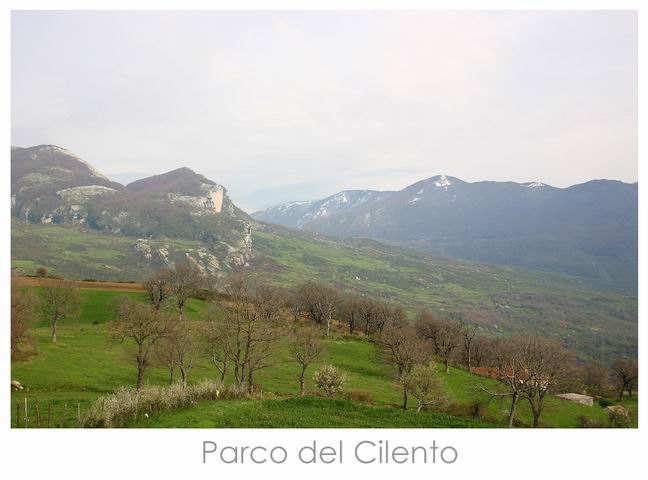 Parco del Cilento.jpg