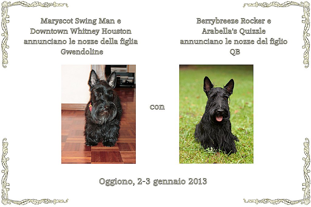 partecipazione_small.jpg