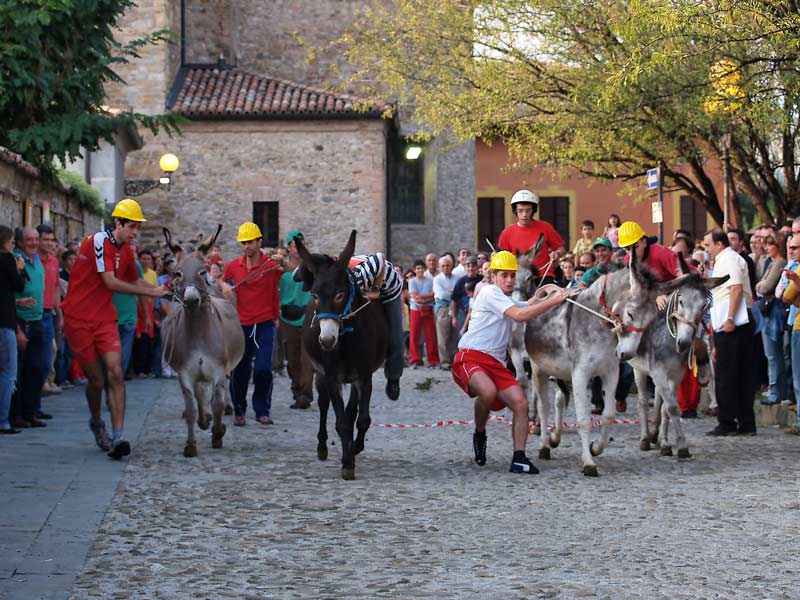 Partenza-ciuchi.jpg