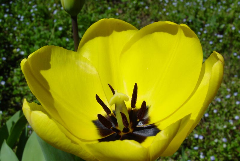 pasqua11042004 053.jpg