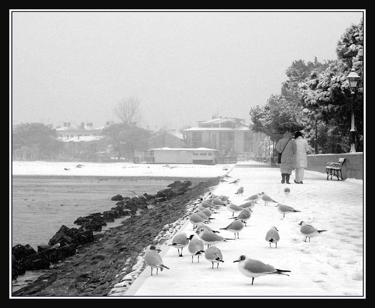 passeggiata_neve_BW.jpg