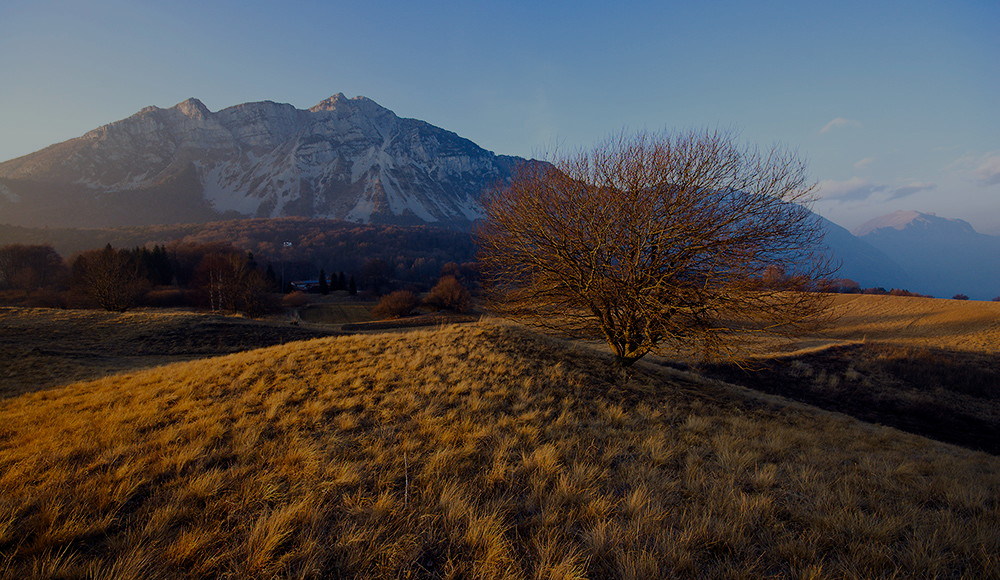 passo bordalamod.jpg