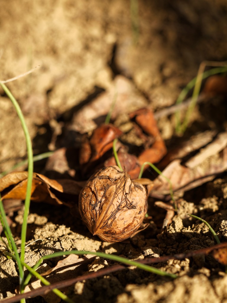 PB102262_DXO.jpg