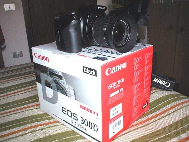 PB260030 2.JPG