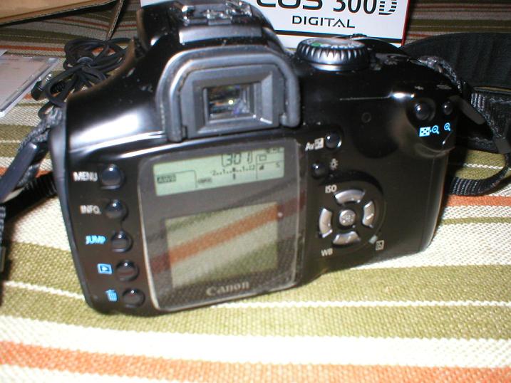 PC060033 2.JPG