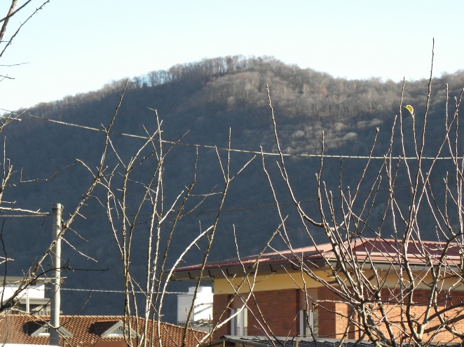 PC080008.JPG