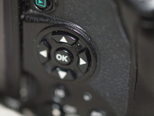 PC166029 (600 x 450).jpg