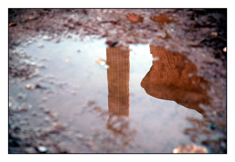 peccato per la cicca.jpg