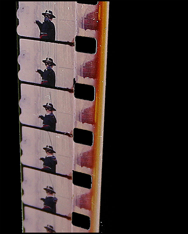 pellicola02.jpg