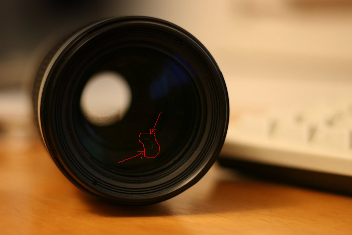 pelucco-web.jpg
