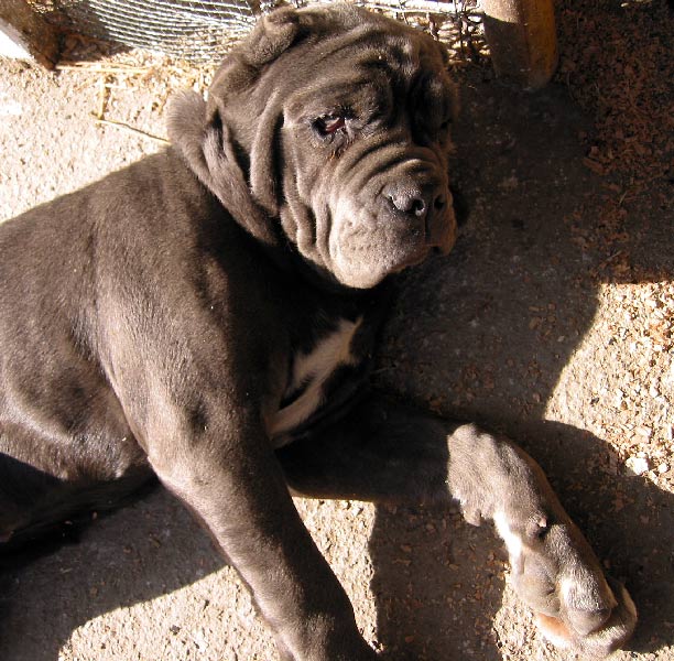 penelope4_879.jpg