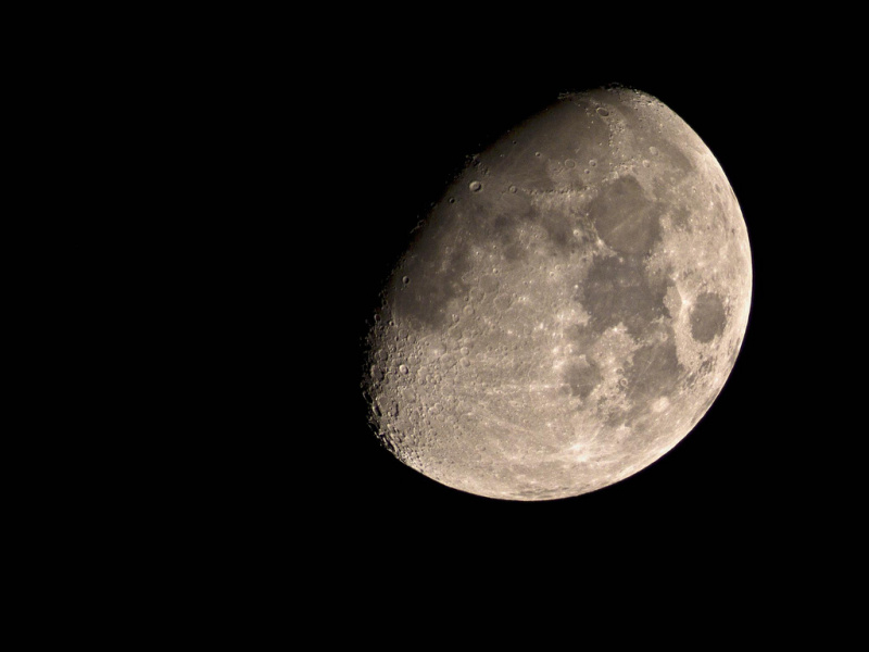 pentax q +400mm.jpg