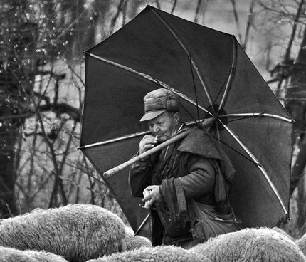 people029ab.jpg