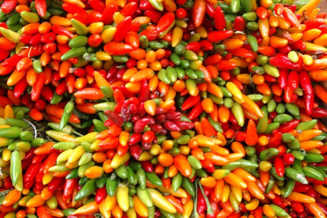peperoncini.jpg