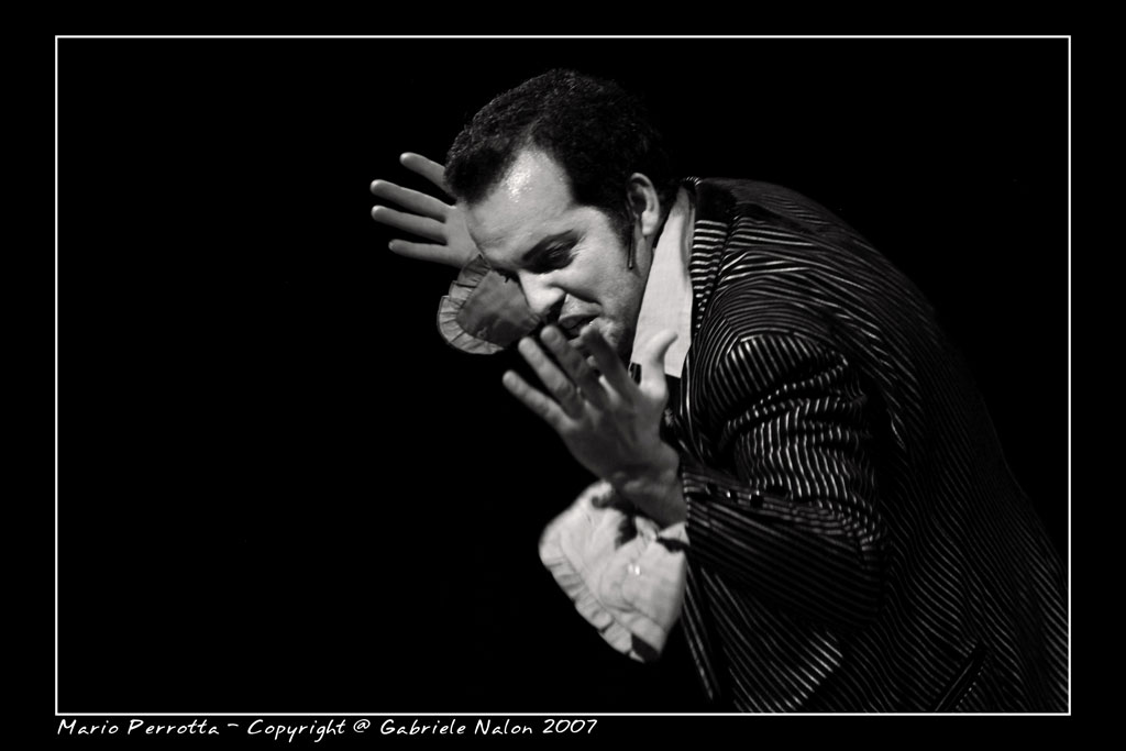 Perrotta_63.jpg