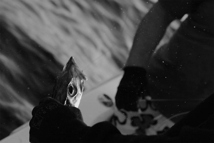 pesca-4a.jpg