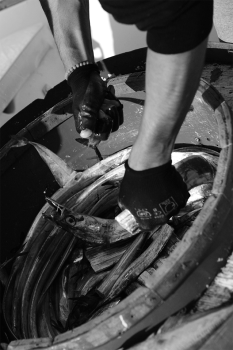 pesca-8.jpg