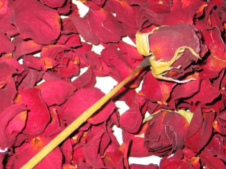 petali di rosa.jpg