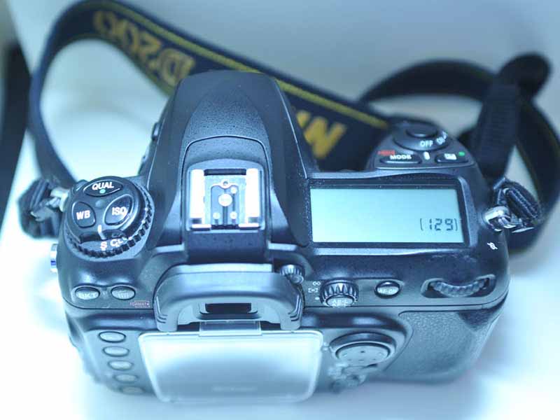 PFP_6189.JPG