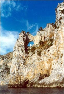 ph_centola_02.jpg