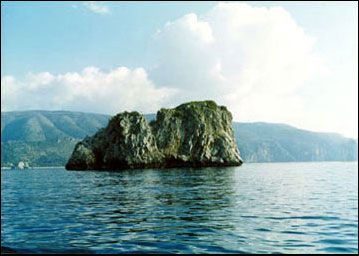 ph_centola_07.jpg