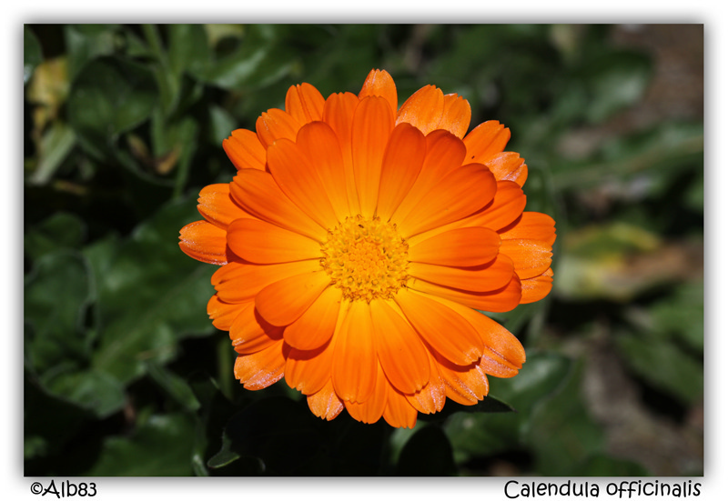 photo4u_2_SD.jpg