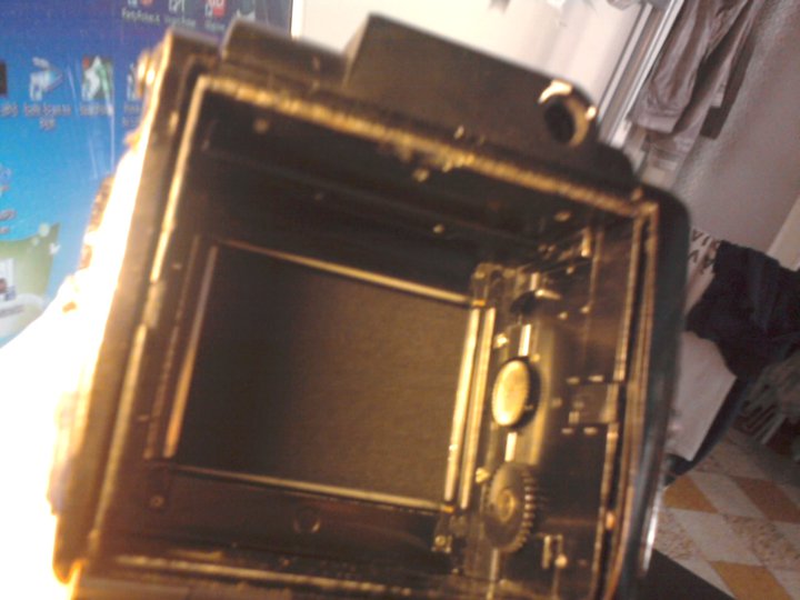 photo.jpg