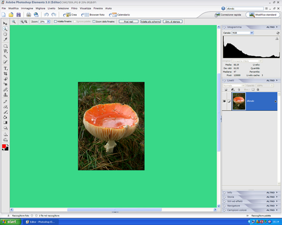 Photoshop verde.jpg