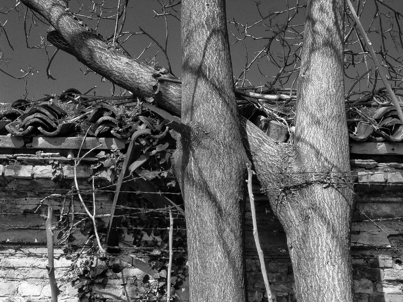 Piacenza-Arsenale-BW-IMG_4707.jpg