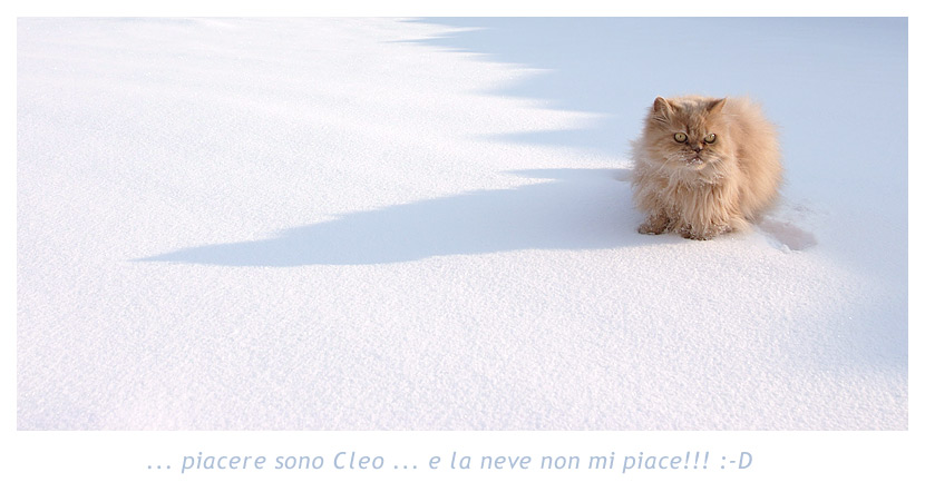 piacere_sono_cleo.jpg