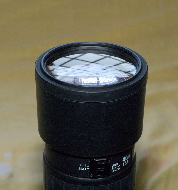 pic1.jpg