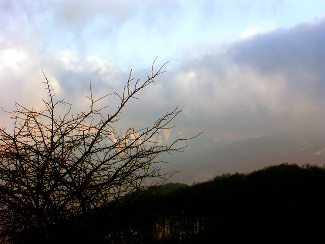 PICT0022.jpg