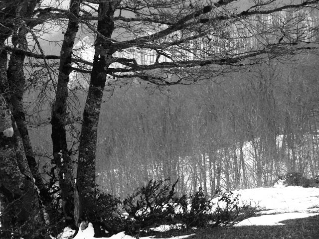 PICT0031.jpg