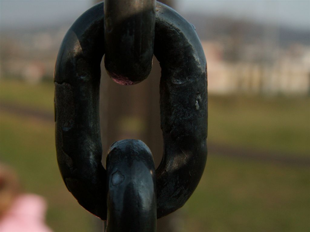 PICT01122.jpg