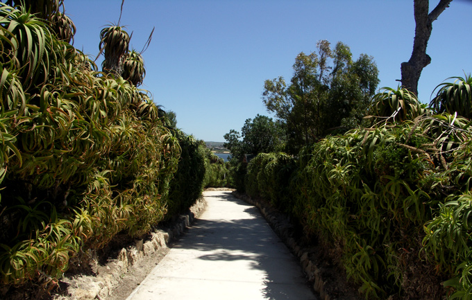PICT0168.jpg