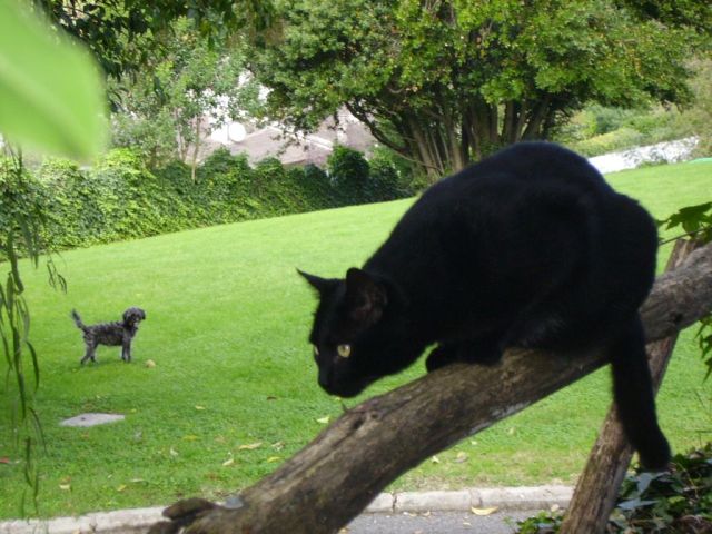 Pict0193.jpg
