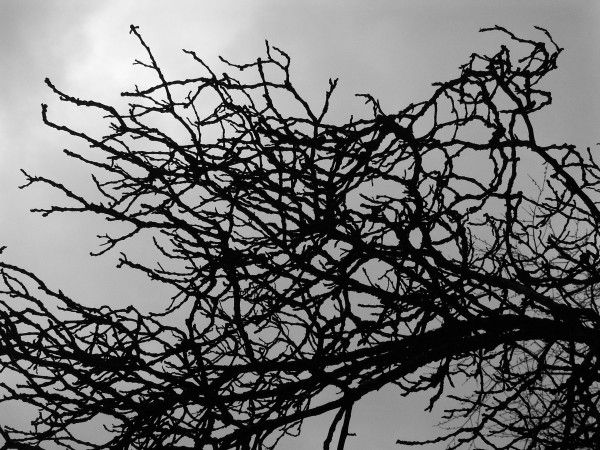 PICT0292.jpg
