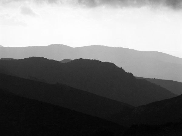 PICT0299.jpg