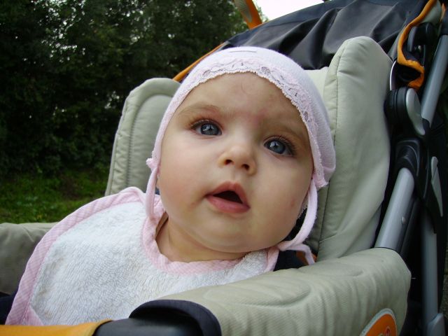 Pict0652.jpg