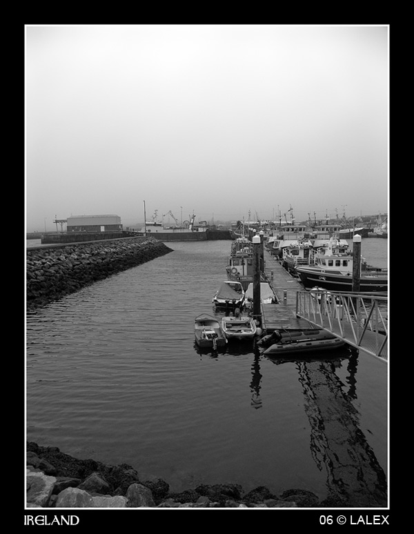 pict0803bn-copia.jpg