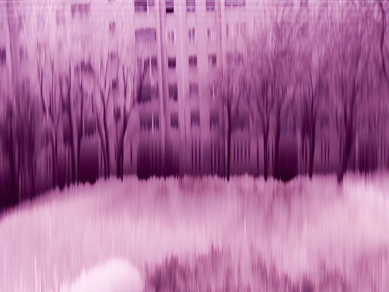 PICT0993.jpg